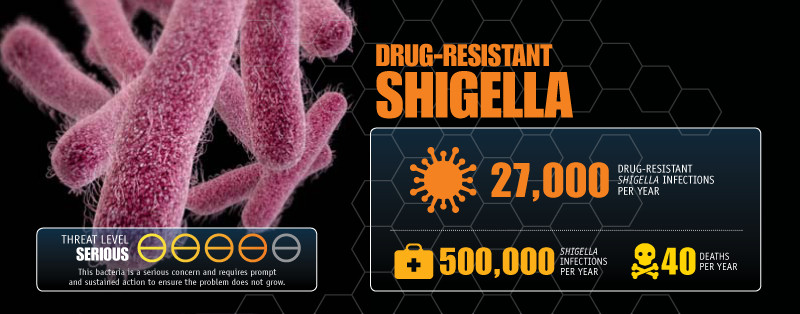 The Rising Threat of Drug-Resistant Shigella in the U.S.