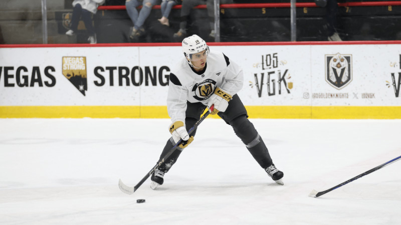 Vegas Golden Knights vs. Utah Mammoth: Playoff Drama Unfolds in the Desert