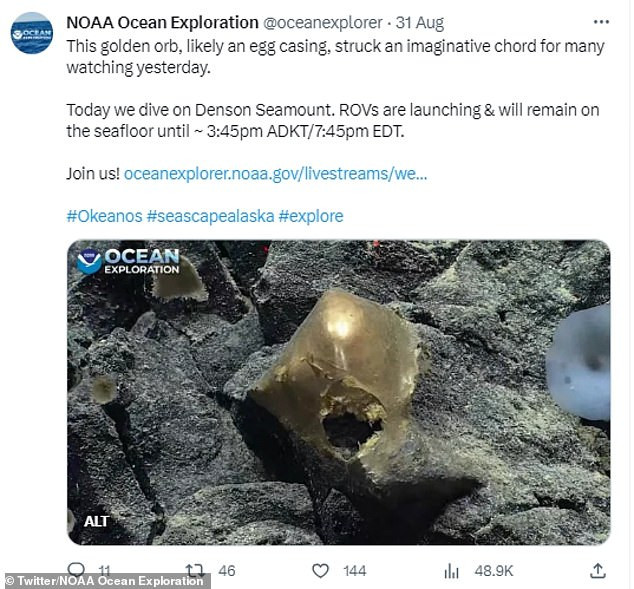 The Golden Orb: A Mysterious Encounter from the Depths of Alaska's Ocean
