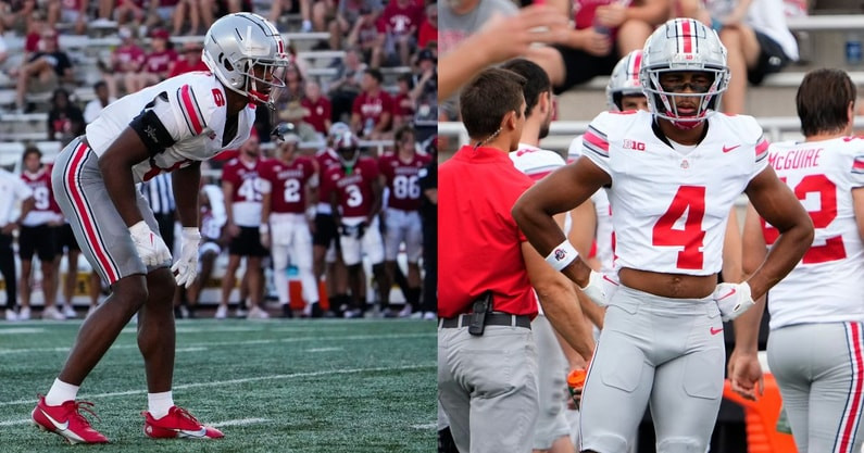 Lorenzo Styles Jr.: The Buzzy Buckeye's Big Brother Brother