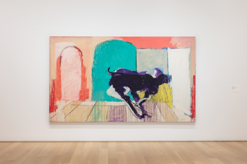 Shaqir O'Neal: The Son of a Legend Steals the Show at College Dunk Contest