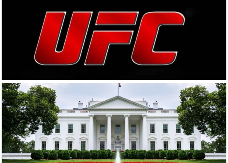 White House Sets Stage for UFC Freedom 250: A Historic Fight Card