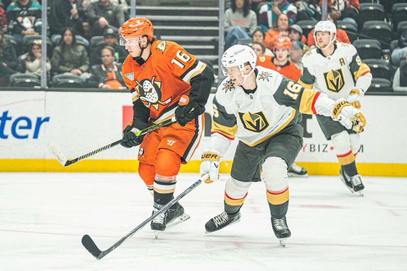 The Anaheim Ducks' Division Dominance and the Vegas Golden Knights' Roaring Rivalry