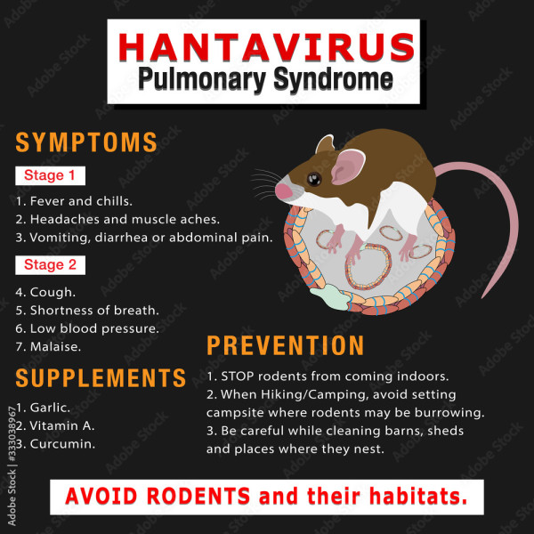 Hantavirus Havoc: A Deadly Outbreak Abroad the MV Hondius