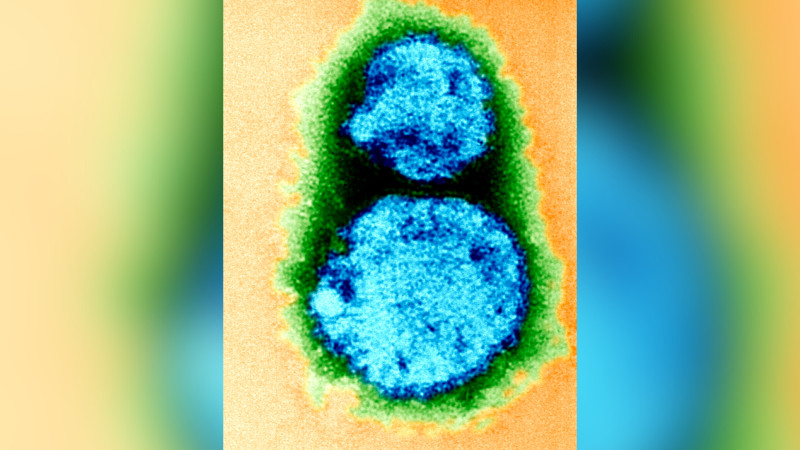 A Cruise Ship At Sea: A New Virus Emerges in 2026