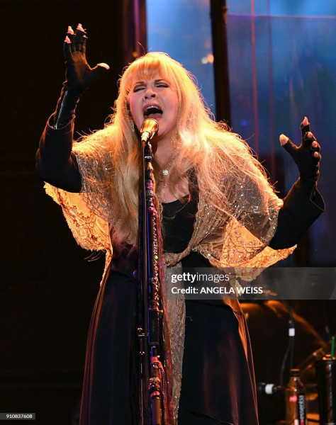 Stevie Nicks's Stellar Debut at the 2026 Met Gala: A Night of Magic and Fame