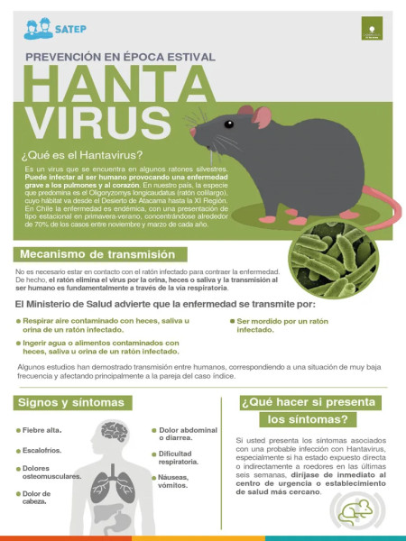 Deadly Hantavirus Emerges on Cruise Ship: A Growing Threat