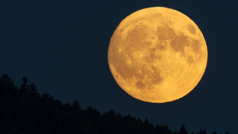 Full Moon Tonight: The 2026 Buck Moon and the Magic of July's Night Sky