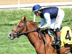 Golden Tempo: The Kentucky Derby Champion's Legacy and the Passing of Andrea Phipps