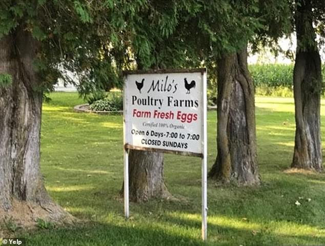 Midwest Poultry Services Egg Recall: 1.6 Million Eggs Pulled from Stores