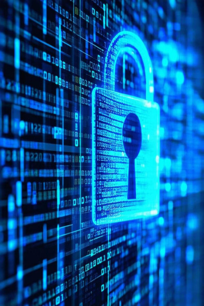 New Jersey Voter Privacy Ruling: Defeating DOJ's Bid for Sensitive Data