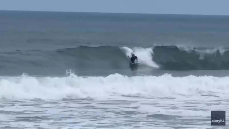 Newport Beach Shark Breach Video: A Close Call in the Surf