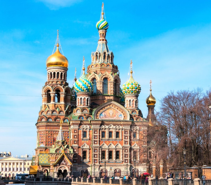 Argentina Stuns Spain in Thrilling World Cup Final