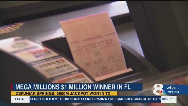 The Mega Millions Mania: Florida Strikes Gold with $800 Million Jackpot