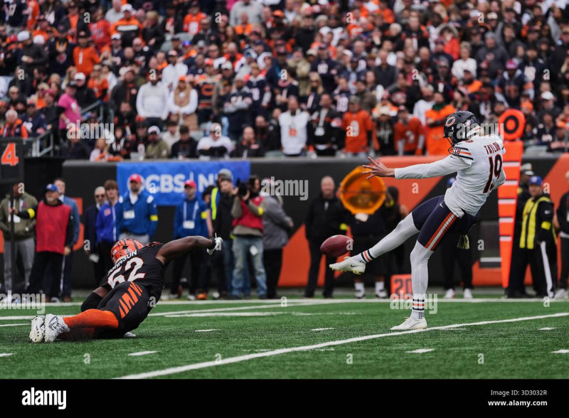 Bengals Dominate Bears with Josh Johnson Shining