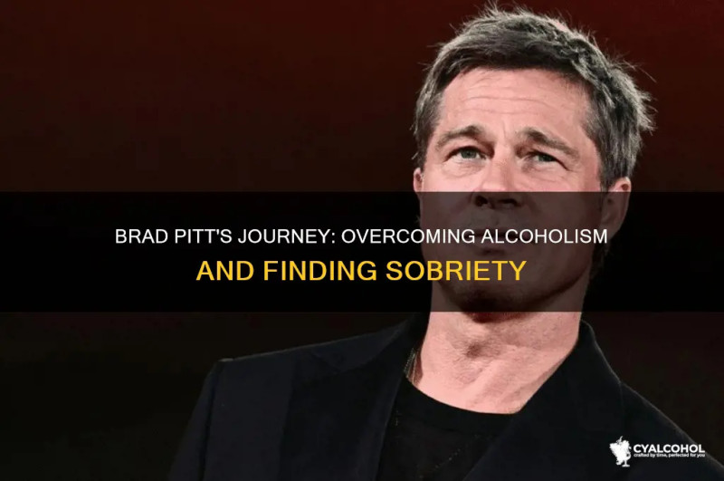 Brad Pitt Opens Up About Sobriety Struggles and Emotional Turmoil