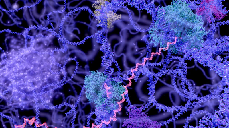 Breakthrough in Cancer Treatment: Moderna and Merck's mRNA Vaccine Shows Promise