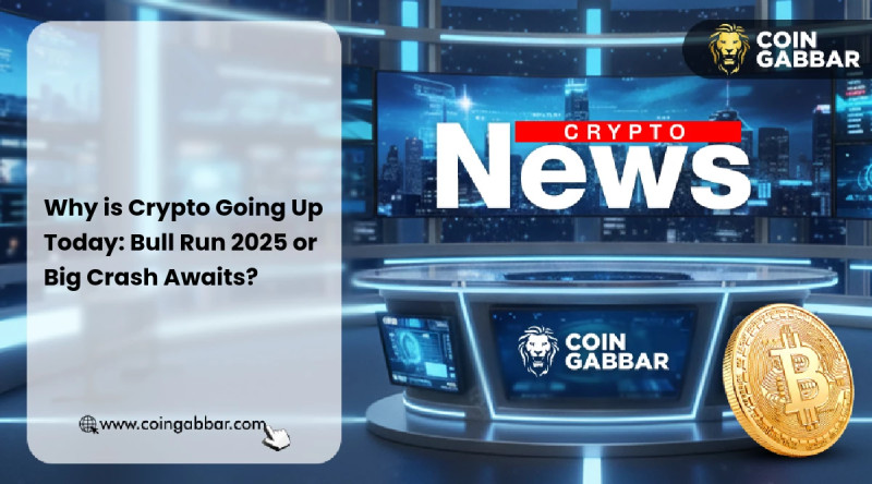 Crypto Bull Run: Why is Crypto Up Today?