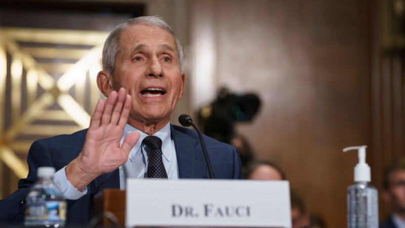 Fauci Contempt Vote: Senate Panel Holds Former Health Official in Contempt