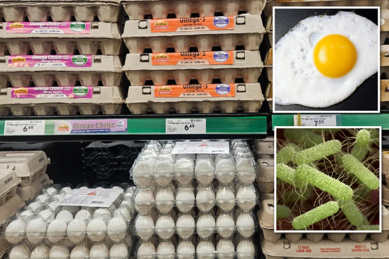 FDA Issues Class I Recall for Nearly 1.6 Million Eggs in Texas