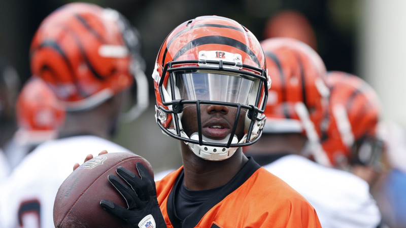Josh Johnson's Surprise Performance Leads Bengals to 27-9 Victory Over Bears