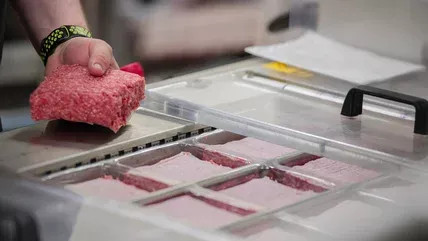Massive Beef Recall Shakes Retailers in Two States