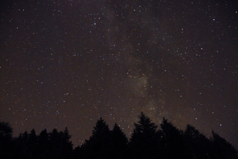 Perseid Meteor Shower: A Night of Shooting Stars