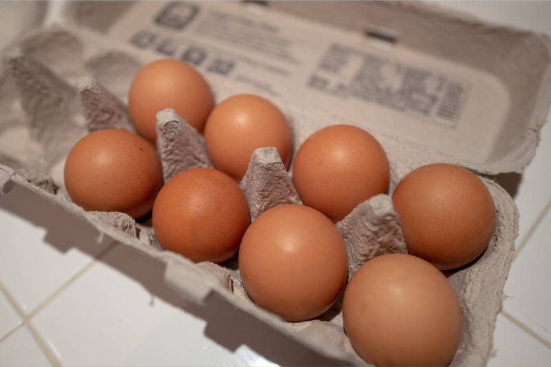 Salmonella Outbreak in UK: Hundreds Fall Ill from Imported Eggs
