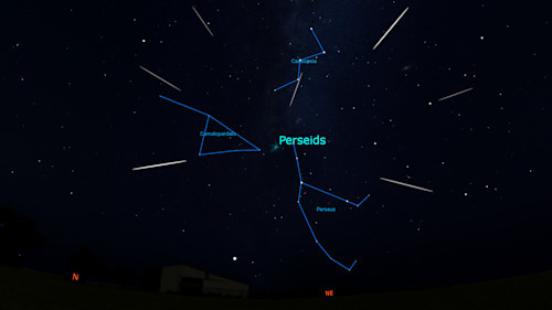 The Perseids in Eclipse: A Cosmic Showdown