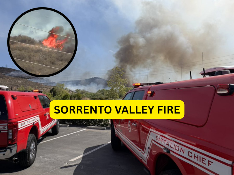 Wildfires Rage in San Diego: The Latest on the Sorrento Valley Fire