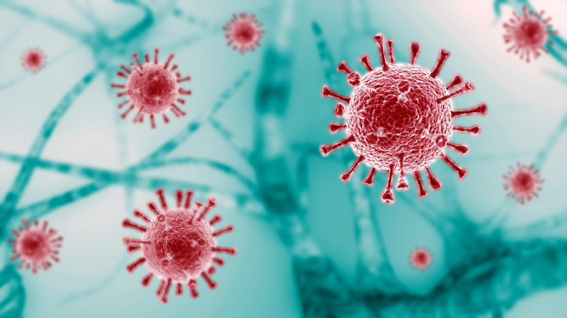 Navigating the Vaccine Landscape: Latest Updates on COVID, Flu, and RSV Vaccines