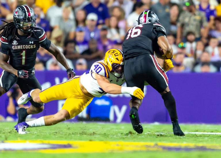 TRENDING: Towson Tigers vs. South Carolina Gamecocks: Football Showdown