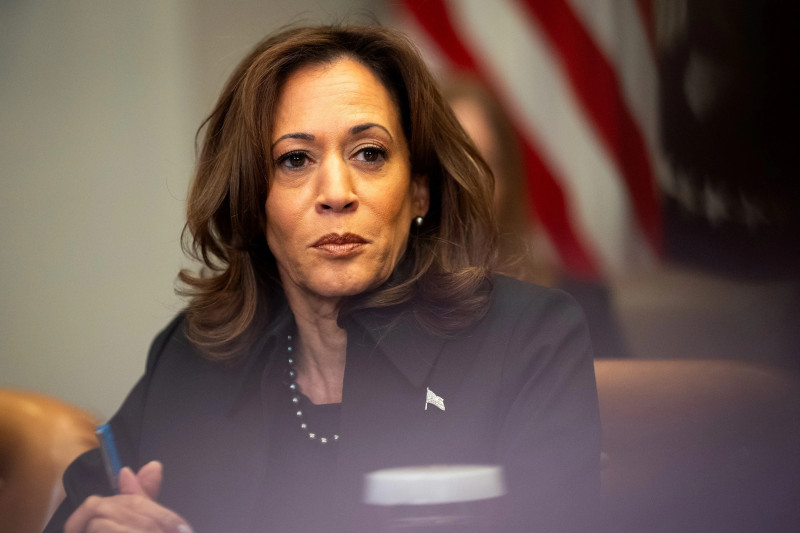 Harris in Focus: A Prominent Figure in the 2028 Democratic Primary Race