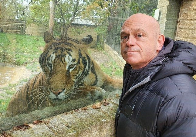 William Chapman killed after climbing tiger enclosure at Yorkshire Wildlife Park